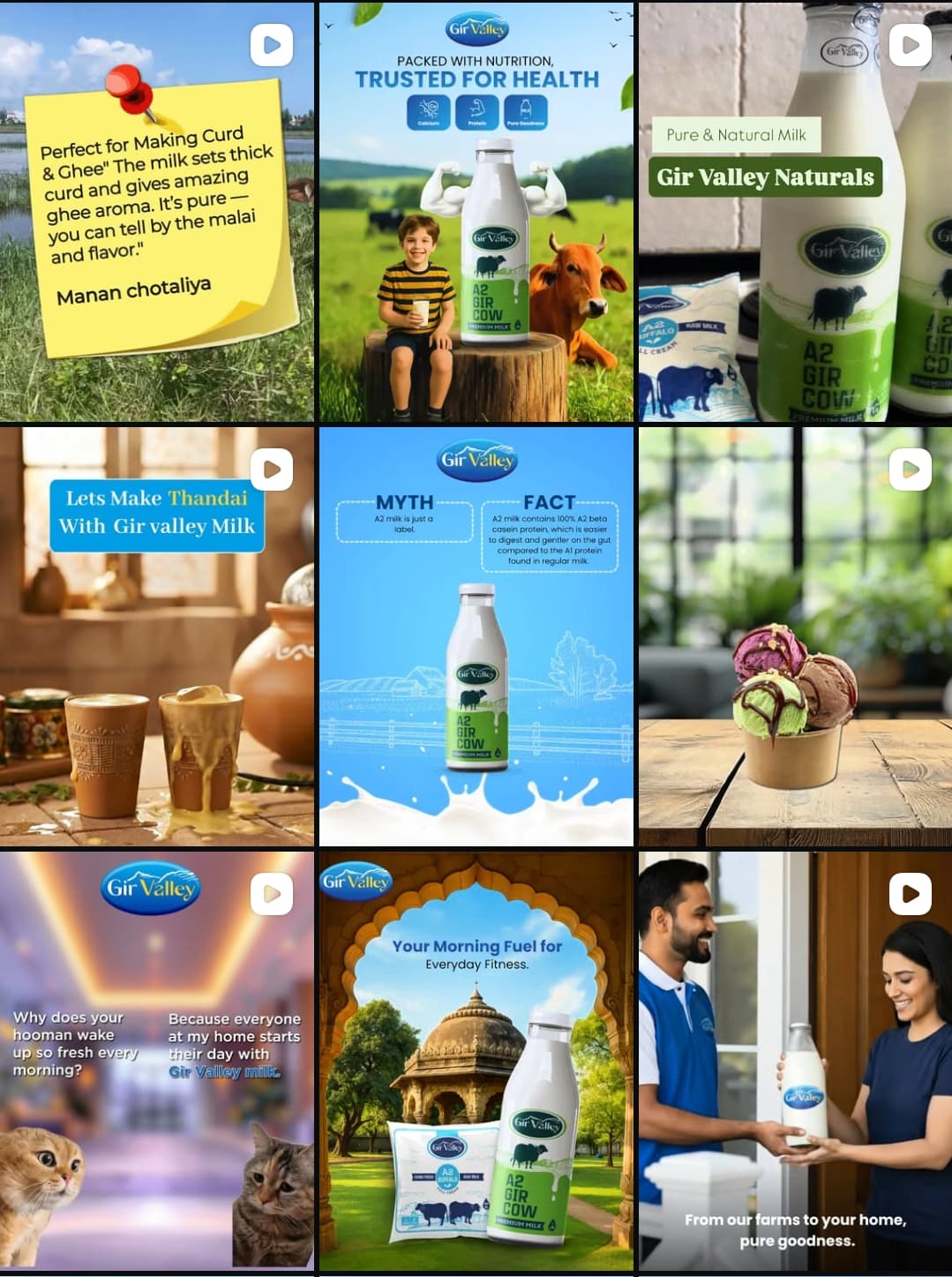 Gir Valley — Social Media Marketing, Rajkot, Dairy Products